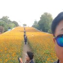 찬숙이네 이미지