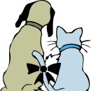 명동물병원 이미지