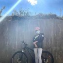 이상아 카카오 검색결과