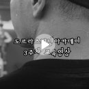 도르라핏 Daum카페