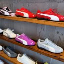 스타태권도스쿨 | 오사카 신발 편집샵 : 여기서만 구할 수 있는 한정판까지 !