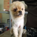 풍호체육공원 이미지