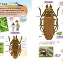 (山 바보) 26. 숲의 오작교 - 곤충 이름 익히기 이미지