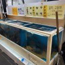 쏘나브이피씨코리아(주)우정지점 | 제주 올레시장 회포장 맛집 우정회센터2호점 내돈내산 후기