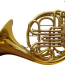 에스플란트치과병원 이미지