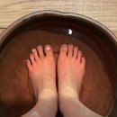 제주 연동 마사지 추천 도테라 에센셜 오일을 사용한 모메존 아로마 마사지 솔직후기