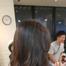 스펠라헤어메디컬 이미지