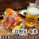 대포항 | 속초 이자카야 대포항 요리바카 후기! 카시아 속초 라마다 호텔 도보 5분 찐 맛집