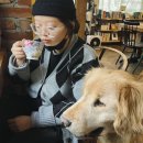 | 원주 판부면 | 강아지 감자와 함께한 티타임, '동네책방 스몰굿씽'