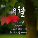 Night in white satin 이미지