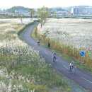 빛의 소나타 이미지