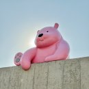 대구도남초등학교 | 대구 칠곡 핑크 곰돌이가 있는 베이커리 카페 디브몽트