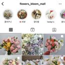 피네농장 이미지