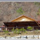 개나리꽃민박 이미지