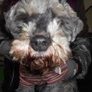 두류공원로 이미지