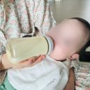 첨단중앙로68번길 | 광주 핫플 총정리│이헌한우·애슐리 딸기뷔페·아코다 뿌신 한 주