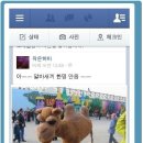 명*안* 이미지