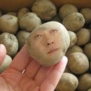 남촌동 주말농장
