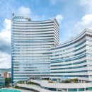 개량양돈 이미지