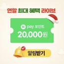하루라이브