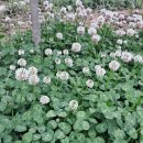 죠이월드 이미지