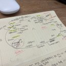 심지방코지 이미지