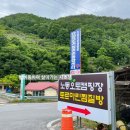노동오토캠핑장 | [우중캠핑]비오는날 가기좋은 단양 캠핑장_ 단양노동오토캠핑장 다녀온 후기!