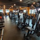 바디닥터짐 이미지