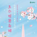 꽃길투어