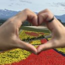 세븐일레븐 광명트리플점 | [공지] 📍 일본 삿포로 투어 추천 | 트리플 삿포로 후라노, 비에이 버스투어 후기(+준페이 식당)