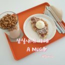 에이머그 이미지