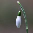 바리스타2급(야간) 이미지