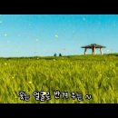 [밤의뮤직카페] 나들이 - 이광조 / 이정선 / 김미영 이미지