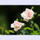 곡성-065 티스토리
