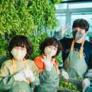 세종 오즈 이미지