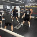 최우수 체육관 | 복싱 생활체육대회. 엘리트 대회 종합우승. 최우수 지도자 5관왕의 빛나는 박스원에서 도전해 보세요!