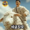 심심풀이 이미지