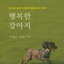 행복한 강아지 이미지