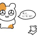 경주국민체육센터 수영장 이미지