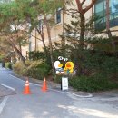 송림중고.돌마고교 이미지