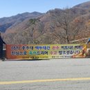 백건 Daum카페