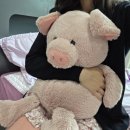 원도안로-4 이미지