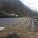 재관농장 이미지