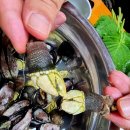 봉돌이봉순이 한옥민박 이미지