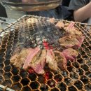 발산역 양고기 맛집 램시티 스페셜 모둠 내돈내산 솔직후기 마곡 맛집 추천