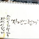 자연캘리그라피