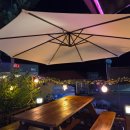 숲속통나무 이미지