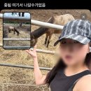 원헌목장 | 갈테야갈테야 바다로 갈테야