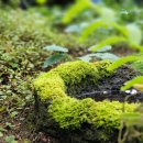 수기당구장 이미지