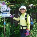 도대1리 마을회관 이미지